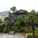 강정동-7 이미지