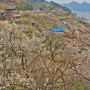 원동마을길 이미지