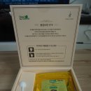 바이칼허브 | [차가버섯 효능] 바이칼라이프 시베리아차가버섯