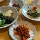 대구삼촌네 | 수성못 맛집) 방어진 자연산 참가자미회 코스 요리 먹고 온 후기