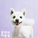 뭉치네 미용실 이미지