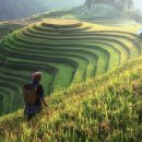 웰빙산업 이미지