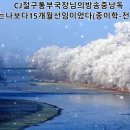 CJ절구통부국장님의방송중낭독-그는나보다15개월선임이었다(종이학-전영록) 이미지