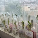 자성대노인복지관 이미지