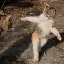 몽실몽실 이미지