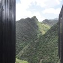 호텔 숲 이미지