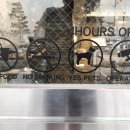 엘룬(elune) 이미지