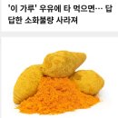 강황가루 우융 타 먹으면 이미지