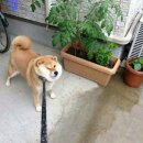 신성한우식육식당 이미지