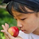 모모농장 이미지