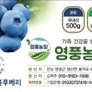 영풍농장 이미지