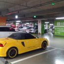 오늘 뭔날인가봐요 김포롯데 아울렛 노란 엠알 이미지