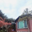데트르펜션 | 안면도 가족여행 숙소 추천｜꽃지해수욕장 근처 감성숙소 데트르펜션 독채 후기 (3대 모녀 여행)