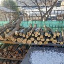 다솜펜션 이미지