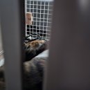 올리스 일산백석점 이미지