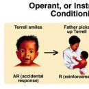 조작적 조건화(Operant conditioning) 이미지