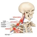 세종시365으랏차한의원 네이버블로그