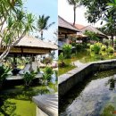 사미가가든 이미지