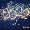 위드미펫살롱 이미지