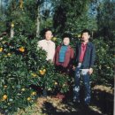 서호동-44 이미지