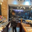 용인대 태권얍 이미지