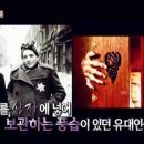 다이코섭씨 이미지