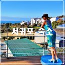 스테이732