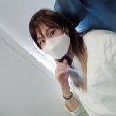 국내선 비행기 반려동물 탑승 기준 &amp; 제주행 대한항공 B737 - 800 탑승후기