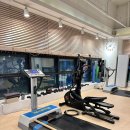 바디트레인 | [공지] 역삼동pt 추천 │ 바디트레인 8회차 체험 후기 &amp; 효과 정리