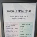 있을지도 | 수원시립미술관 <토끼를 따라가면 달걀을 찾을 수 있을지도 몰라> 전시 후기