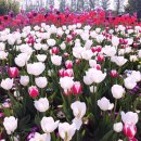 국제문화교류관 야외정원 이미지