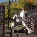 의신 베어빌리지 이미지