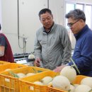 춘천원예농업협동조합 이미지