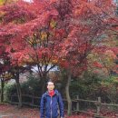 승안천 | 경기도 가평 연인산 용추계곡(龍湫溪谷)