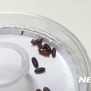 김동식축산 이미지