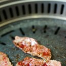 장수농장 티스토리