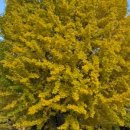 산휴게점 이미지