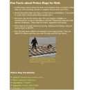 정발중학교 이미지