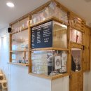 고양이 별 이미지