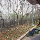 신갈동행정복지센터 이미지