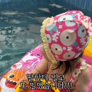 선재유일390 이미지