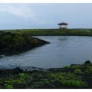 사진을 찍다 이미지