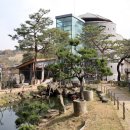삼포실버드림