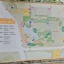 은평국제유치원 | [26.05.05_서울숲 국제정원박람회 솔직후기]
