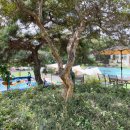 관동초등학교 | 경남 함안 아이체험 추천 강주학교캠프 하루종일 놀다 온 후기