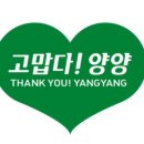 양양군 공공산후조리원 이미지