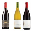 디엠코리아 이미지