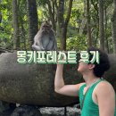 발리 우붓 여행 가볼만한곳 몽키포레스트 입장료 위치 시간 방문후기
