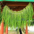 용암농촌체험휴양마을 이미지