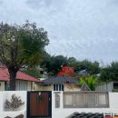 강마을 86 이미지